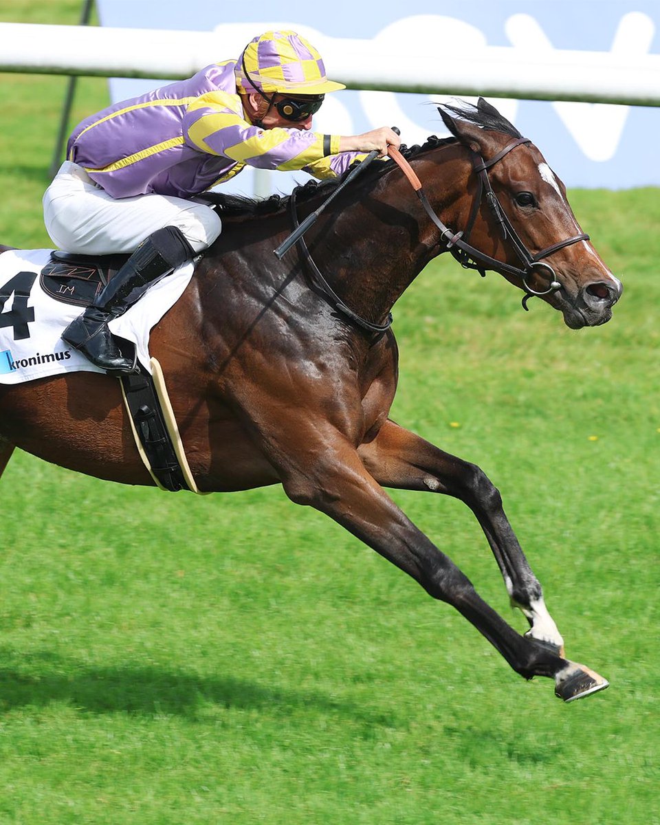 InfoArqana's tweet photo. 🚨 𝑺𝑼𝑴𝑴𝑬𝑹 𝑺𝑨𝑳𝑬 – 𝑭𝒊𝒓𝒔𝒕 3 𝒘𝒊𝒍𝒅 𝒄𝒂𝒓𝒅𝒔 𝒓𝒆𝒗𝒆𝒂𝒍𝒆𝒅!

🔥 Lot 4️⃣1️⃣2️⃣: SHORT FINAL – Gr.3 winner at Baden-Baden
🔥 Lot 4️⃣0️⃣0️⃣: DIOPTASE – Gr.3 runner-up (Prix Greffulhe), winner over 1,500 & 2,000 metres. 
🔥 Lot 3️⃣9️⃣6️⃣: KIRCHNER – 2yo winner & 4th in Listed Derby du Languedoc

📖Catalogue available online➡️ https://t.co/qGSwLIa6gw
🗞️Press release ➡️ https://t.co/NO1nQQQ1O1

LA COURSE COMMENCE ICI🇫🇷

📸 SHORT FINAL, ©MarcRuehl