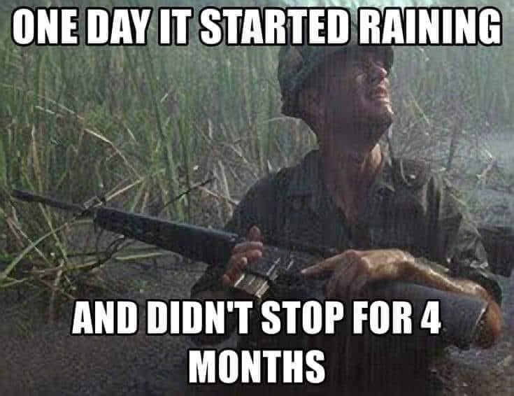Florida rainy season in a nutshell. 🌧️🌧️