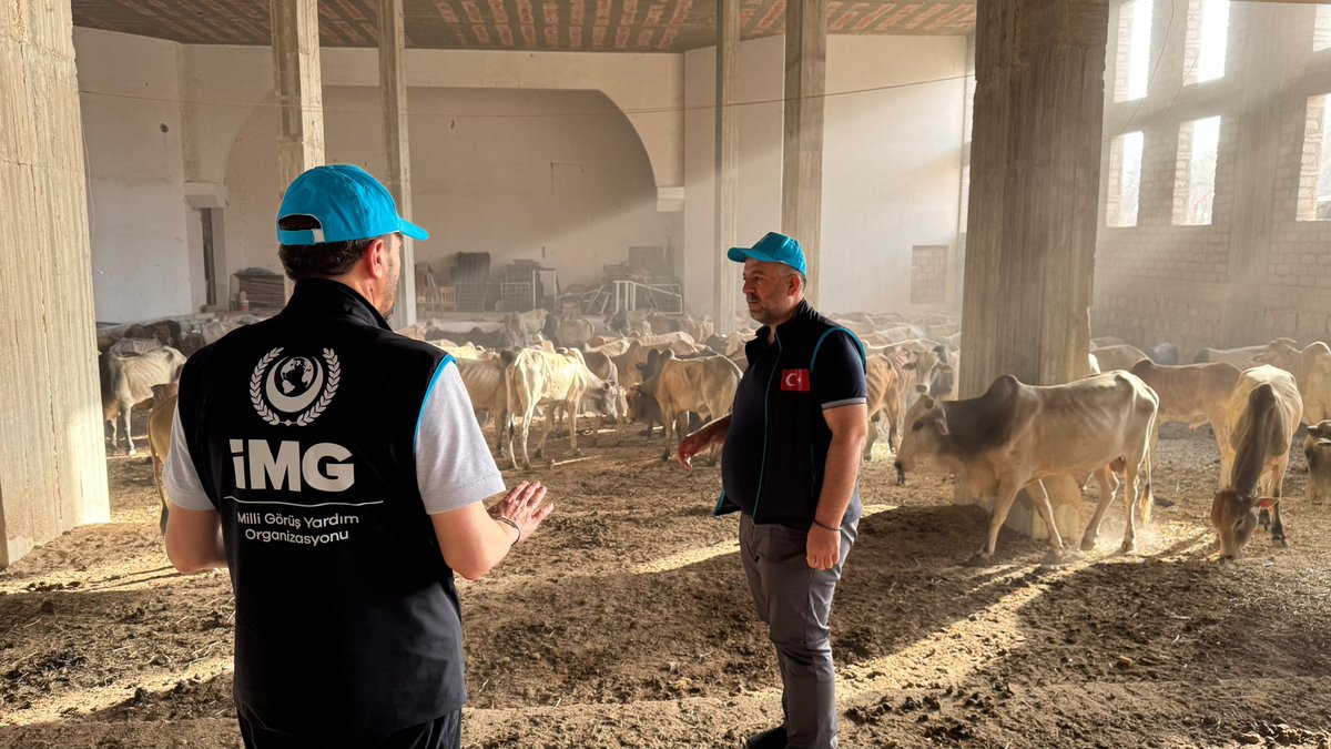 2025 Kurban Organizasyonu kapsamında Yemen ekibimiz kurbanlıkların kontrolünü tamamladı. 🇾🇪

Ekiplerimiz, bizi vekil kıldığınız ve emanet ettiğiniz vacip kurbanlarınızı kesip ihtiyaç sahibi kardeşlerimize ulaştıracaklar.

Sizler de vekaletlerinizi bizlere iletebilirsiniz:

Yemen