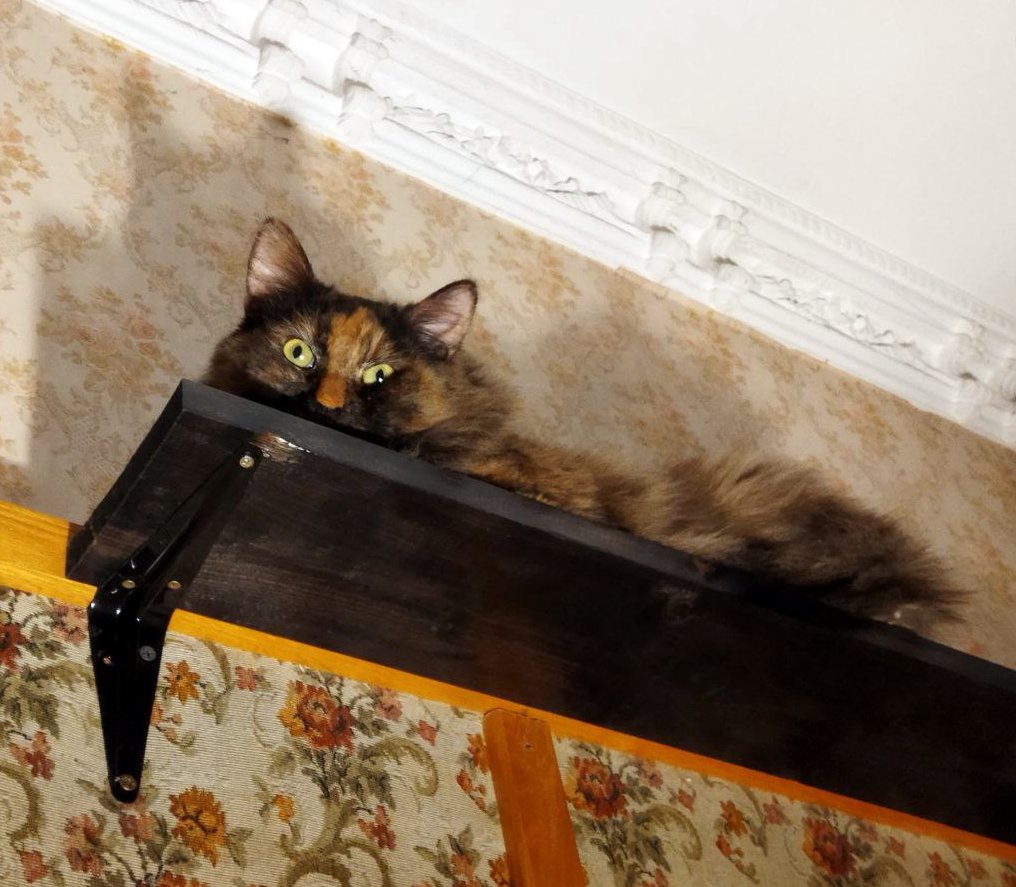 Маленький Кабачок такая дурочка... большой Кабачок, впрочем, тоже.