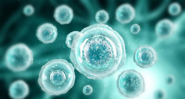 Dt_Aerzteblatt's tweet image. Doppelte CAR-T-Zelltherapie zeigt Erfolg bei seltener Autoimmunerkrankung: Nürnberg – Weltweit ist es erstmals gelungen, eine Patientin mit einer besonders schweren Form einer Autoimmunerkrankung nacheinander mit 2 unterschiedlichen Typen von… dlvr.it/TL9Hjw