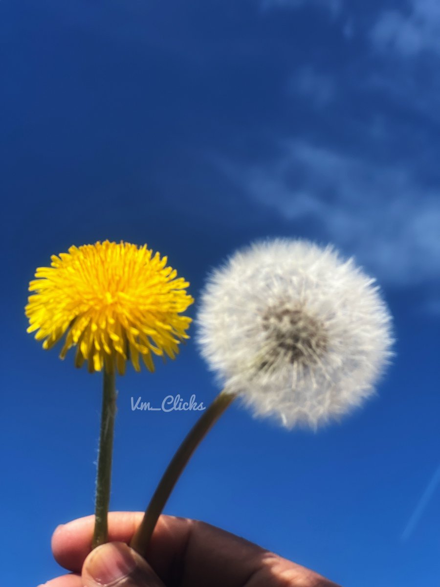 VMMenan's tweet photo. #Vm_Clicks https://t.co/GfX1PISjz5