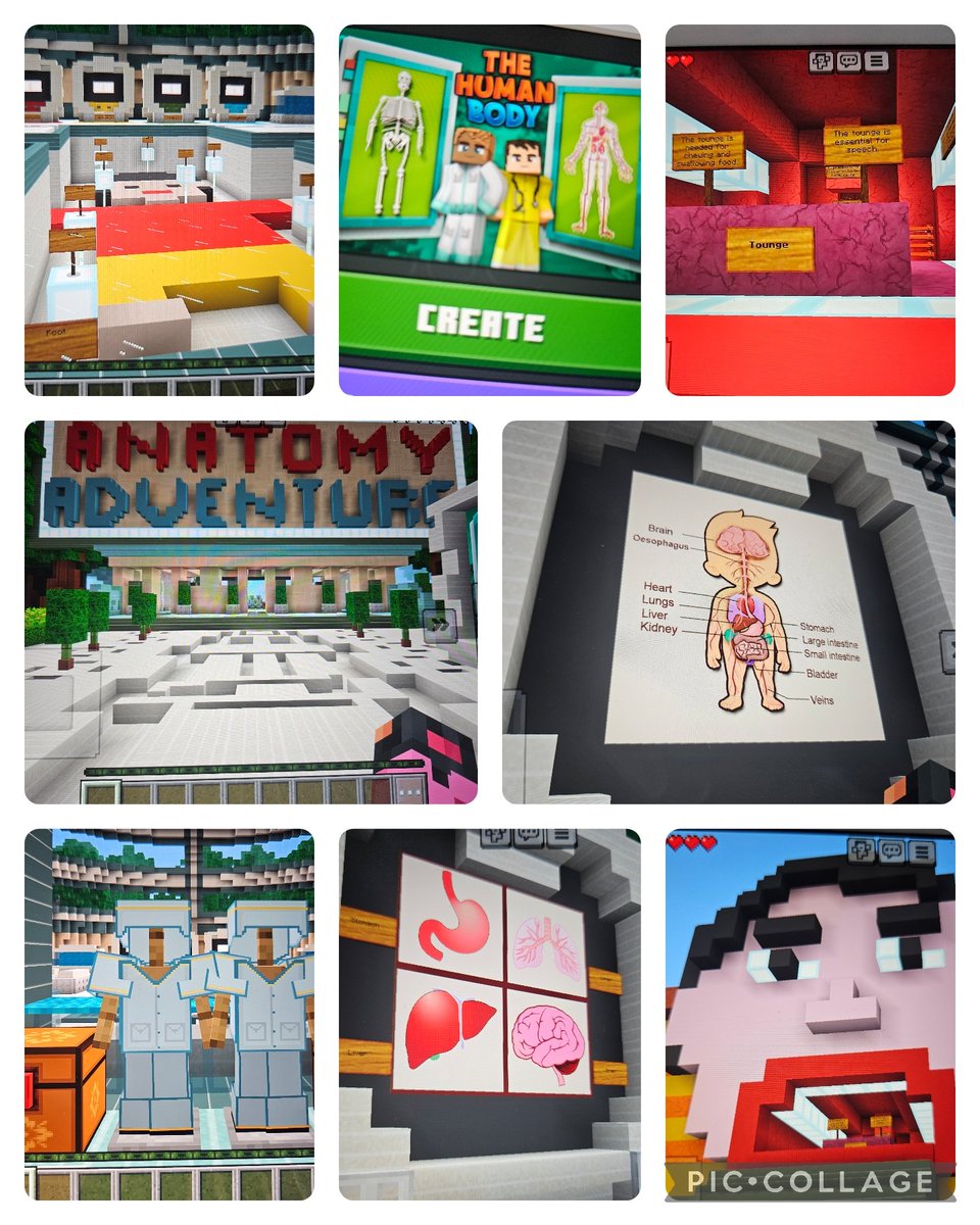 glebeps's tweet image. P4 and P5 have been exploring the Human Body in a whole new way — through Minecraft! 🧠❤️🦴 They’ve been adventuring through a custom world that takes them inside different organs and body parts for a fun and interactive learning experience. #MinecraftEDU #HumanBody #DigitalLearn