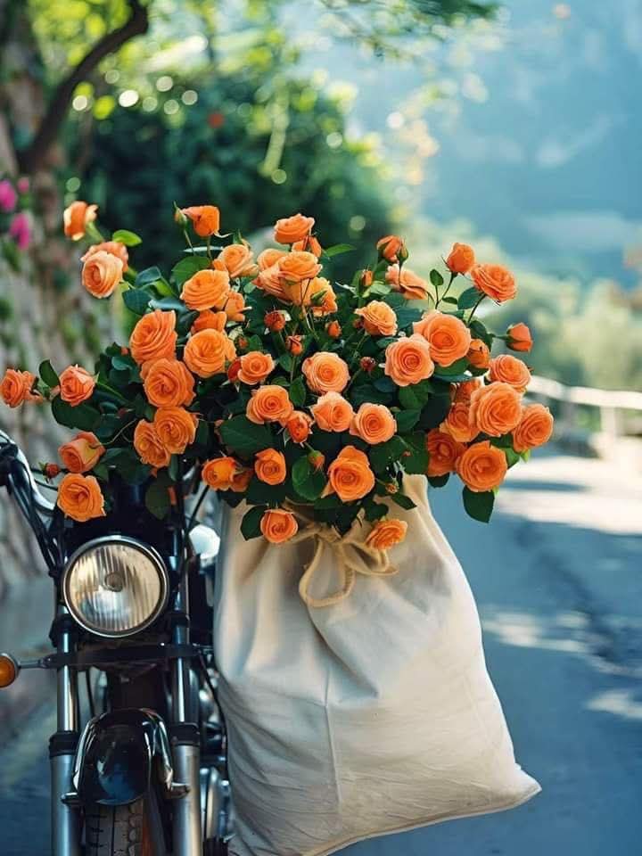 ☘🦋🌸⚘💛 Eva 💛⚘🌸🦋☘ (@eva_mar2011) on Twitter photo 
