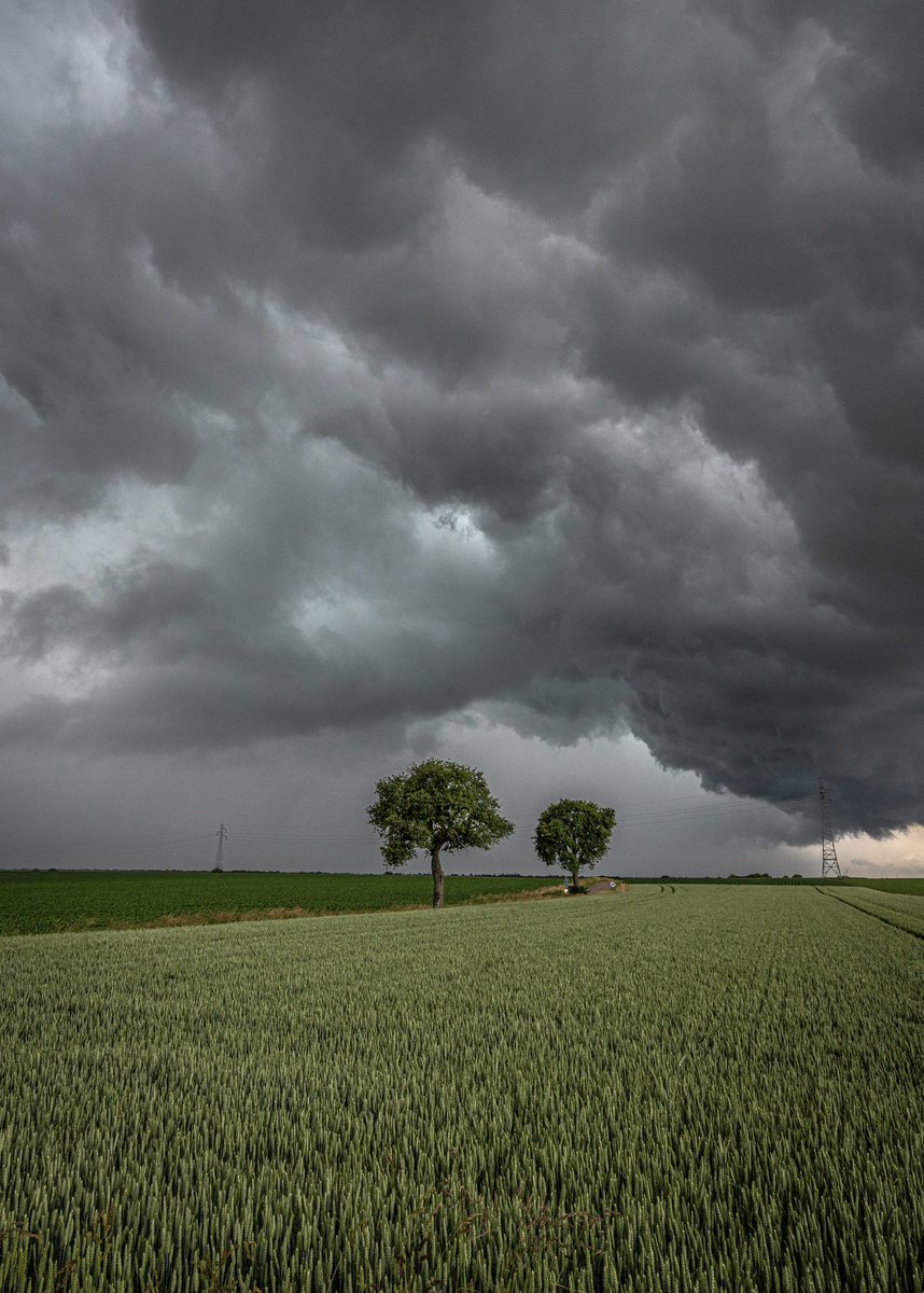 CedricSchell's tweet image. Il pleut en Alsace