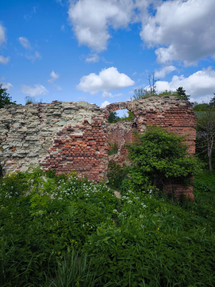 нашли в джунглях заброшеный город. теперь ищем золото инков. ну хоть клад какой-нибудь завалящий с царскими монетами.