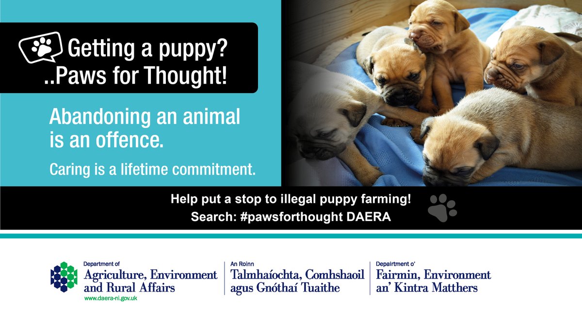 DAERA (@daera_ni) on Twitter photo 🐕Thinking of getting a pet?
👉Its a crime to abandon an animal without ensuring its welfare is looked after
👉Penalty for abandonment is up to 6 mths imprisonment &/or £5k fine
🔗nidirect.gov.uk/news/think-car… <a href="/USPCA_Official/">USPCA Official</a> <a href="/nidirect/">nidirect</a>
<a href="/PoliceServiceNI/">Police Service NI</a> <a href="/animalhealthni/">Animal Health NI</a> <a href="/belfastcc/">Belfast City Council</a> 🐕Thinking of getting a pet?
👉Its a crime to abandon an animal without ensuring its welfare is looked after
👉Penalty for abandonment is up to 6 mths imprisonment &/or £5k fine
🔗nidirect.gov.uk/news/think-car… <a href="/USPCA_Official/">USPCA Official</a> <a href="/nidirect/">nidirect</a>
<a href="/PoliceServiceNI/">Police Service NI</a> <a href="/animalhealthni/">Animal Health NI</a> <a href="/belfastcc/">Belfast City Council</a>