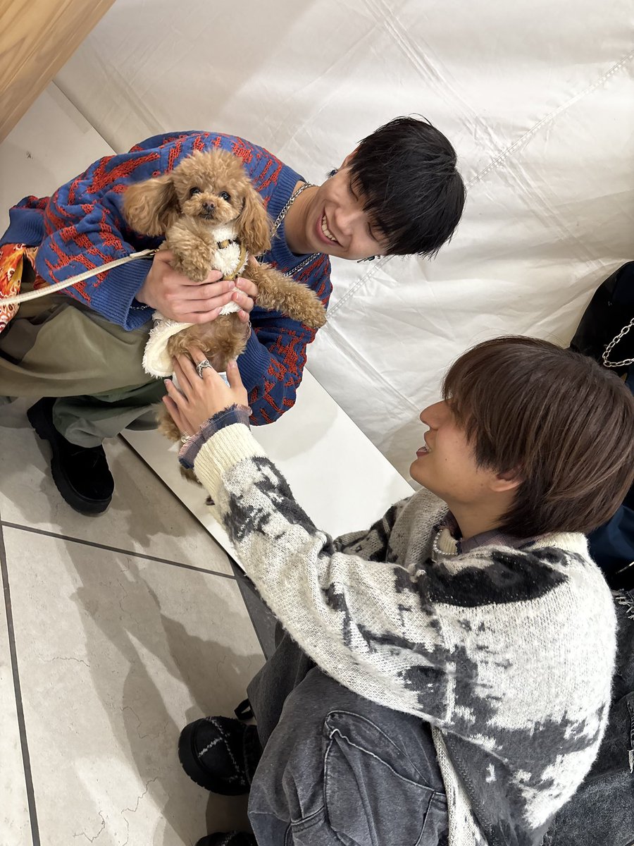 ruiji_protea's tweet photo. #バイプロテア の #末ズ

たくさんありがとう🤝🏻 https://t.co/3kwErhyilv