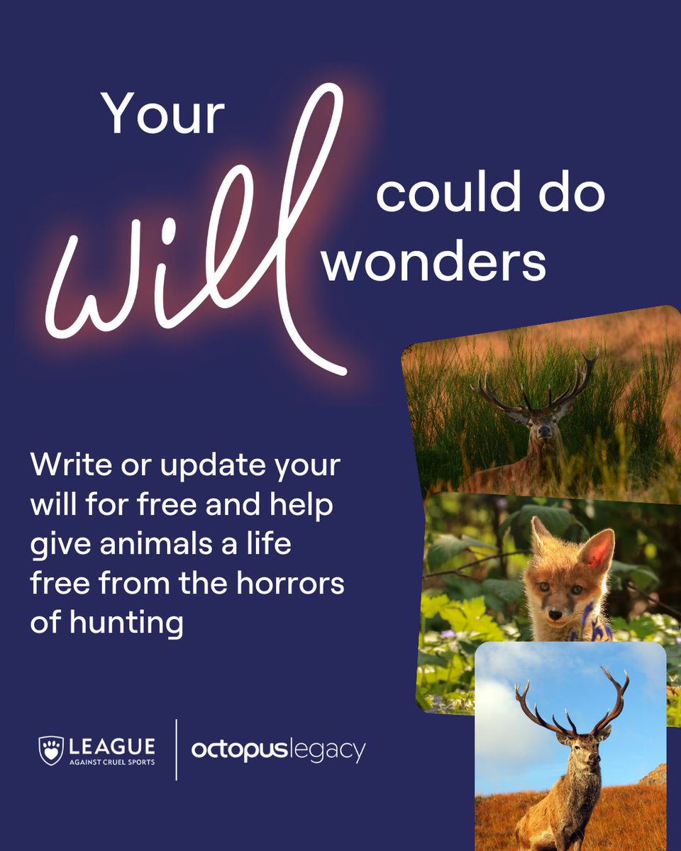 League Against Cruel Sports (@leagueacs) on Twitter photo Gifts in wills play a huge part in all that the League achieves to protect animals at risk from hunting, shooting, and animal fighting.
We’ve partnered with <a href="/octopuslegacy/">Octopus Legacy</a> to offer you the chance to write your will for FREE 👉 leagueacs.co.uk/UpqVq
#YourWillCouldDoWonders Gifts in wills play a huge part in all that the League achieves to protect animals at risk from hunting, shooting, and animal fighting.
We’ve partnered with <a href="/octopuslegacy/">Octopus Legacy</a> to offer you the chance to write your will for FREE 👉 leagueacs.co.uk/UpqVq
#YourWillCouldDoWonders