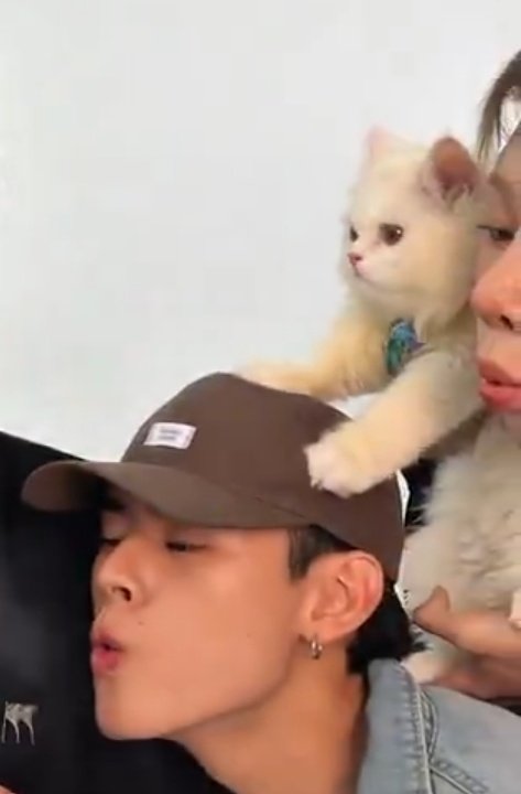 โมจิ ที่เองวางเท้านั่น .. 555555555555566