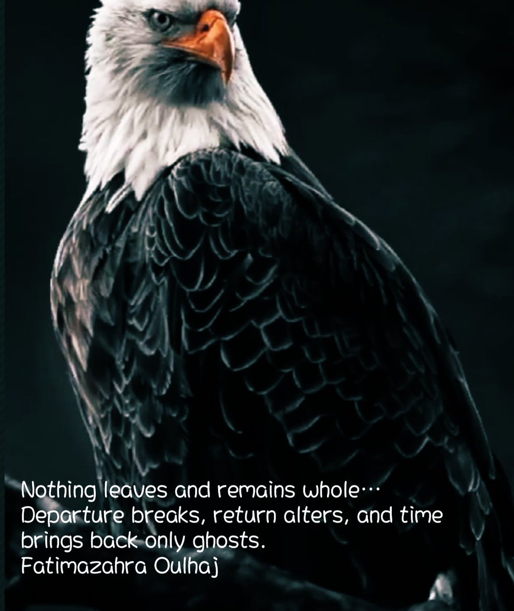 ما من شيء يرحل ويبقى كاملًا… فالرحيل يكسِر، والعودة تُغيّر، والزمن لا يعيد إلا أشباح ما كان.