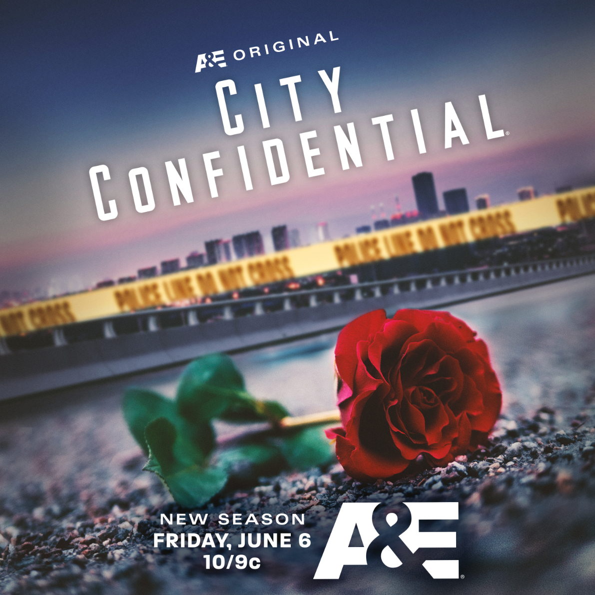City Confidential tells the story of individual crimes, the ensuing investigation, and the ripple effect it had on a community. Watch the season premiere Friday, June 6th at 10/9c on <a href="/AETV/">A&E</a>.