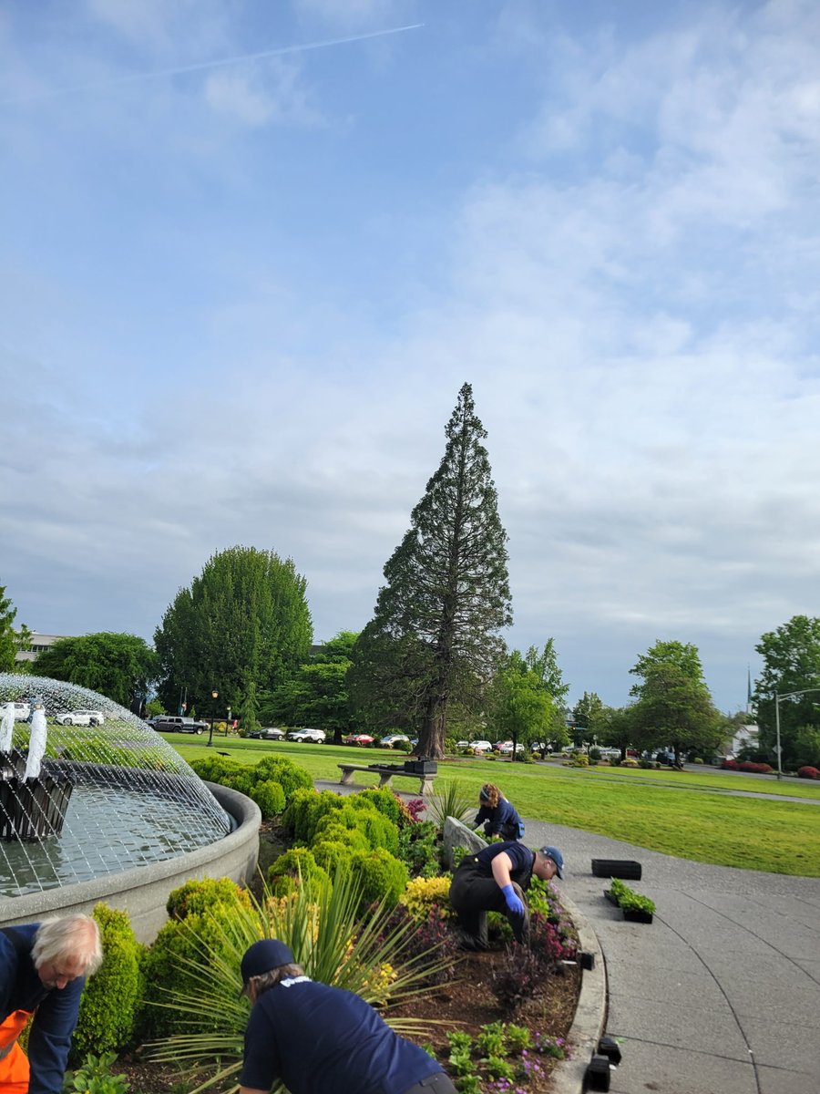 Looking for summer plans? 🤔 Capitol Campus offers scenic walks, historic landmarks, and vibrant seasonal flowers. Recently, our grounds team planted 8,000 annuals! Plan your visit and see them yourself ➡️Capitol.wa.gov 😁

#SummerInWA #CapitolCampus #OlympiaWA #OlyWA