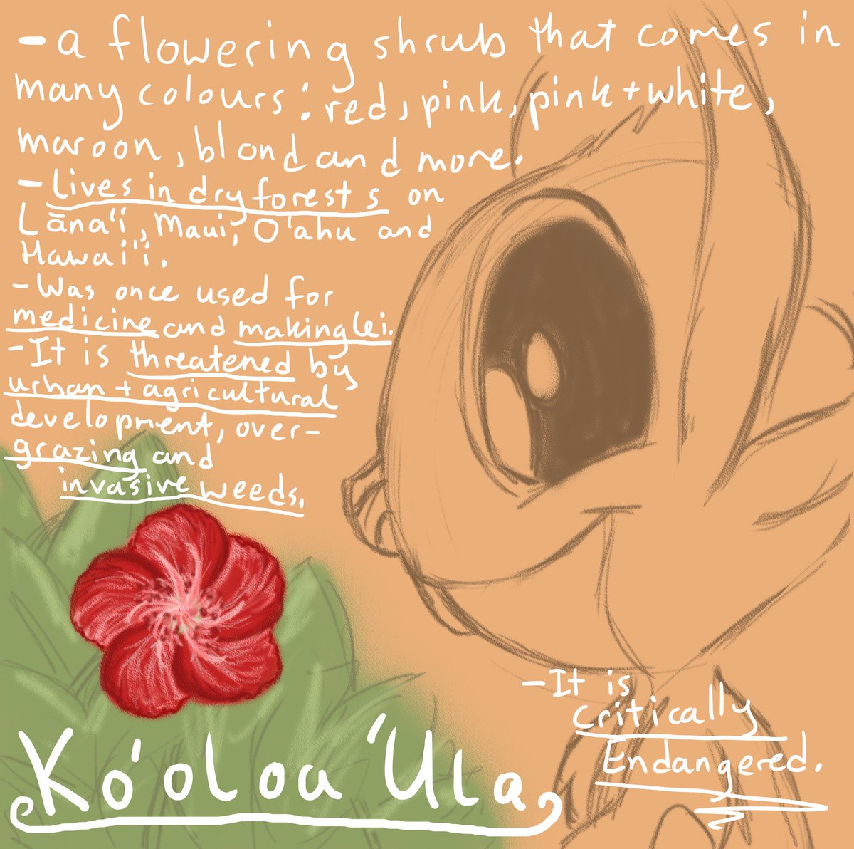 heather0never's tweet photo. Happy #Experiment604 day!
Today is the Ko'oloa'ula!
#LiloandStitch #Houdini https://t.co/UY57VAPcZG