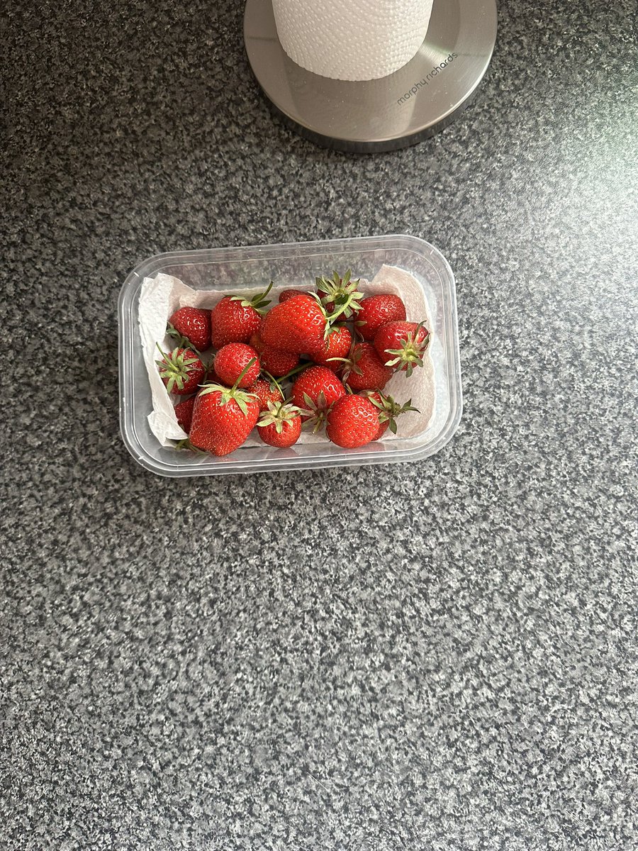 BlindGirlVlogs's tweet image. Fresh strawberries from the garden. 🍓. #SummerVibes #Gardening