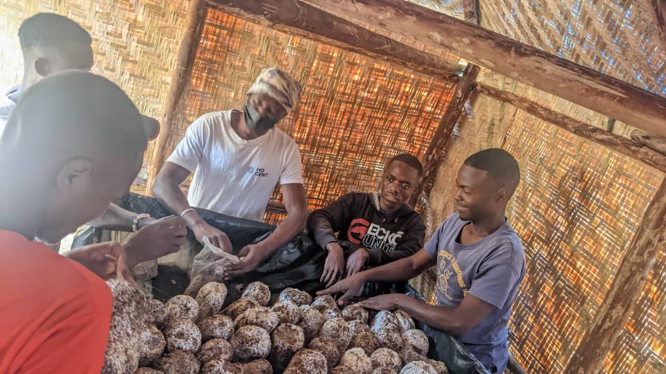 Pax Mushroom Farm Ltd tweet media