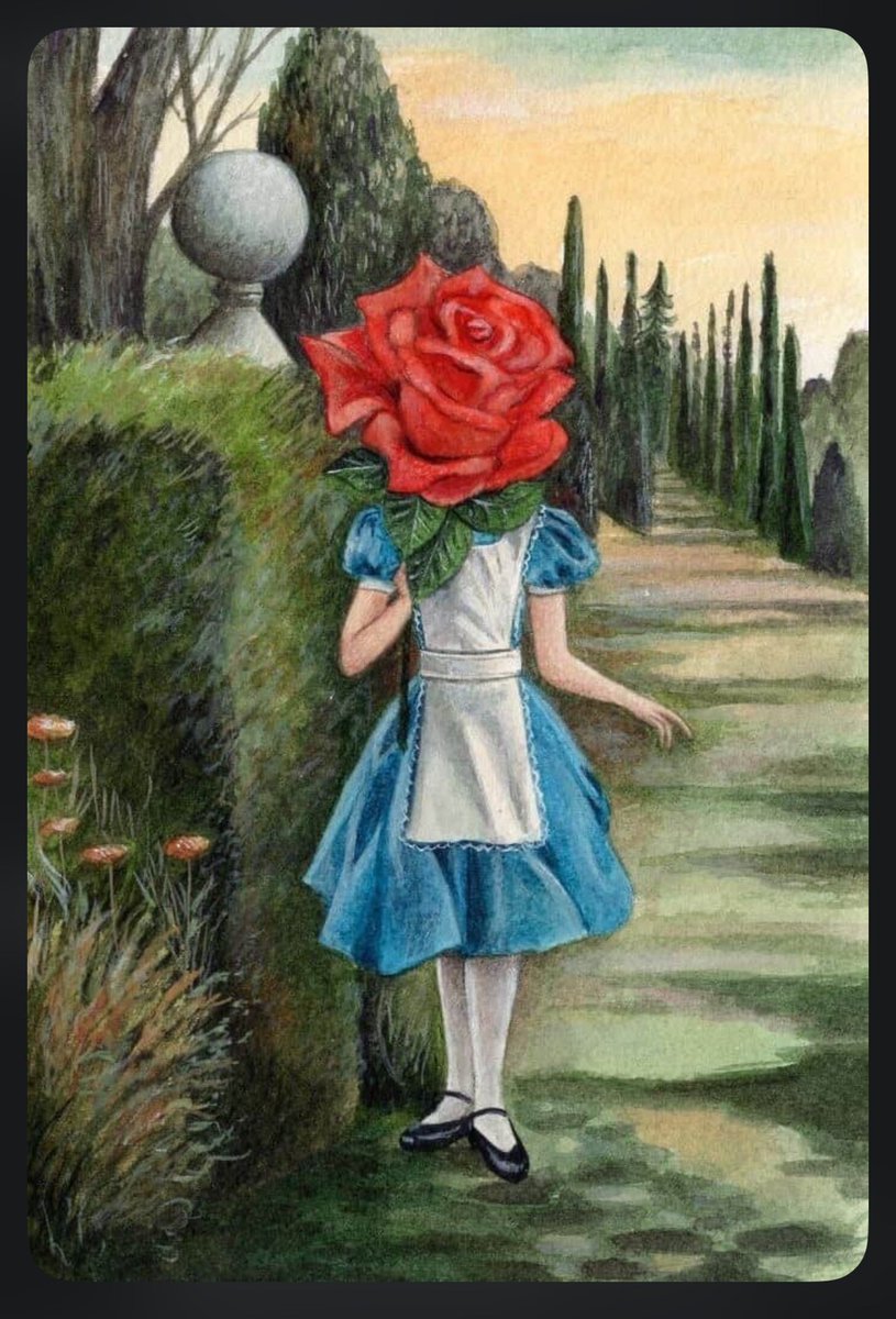 xxinxeta's tweet photo. “El secreto, querida Alicia, es rodearse de personas que te hagan sonreír con el corazón. Es entonces y sólo entonces cuando estarás en el país de las maravillas.”

— Lewis Carroll
@mantrasdeluz https://t.co/BTYKwryW2K