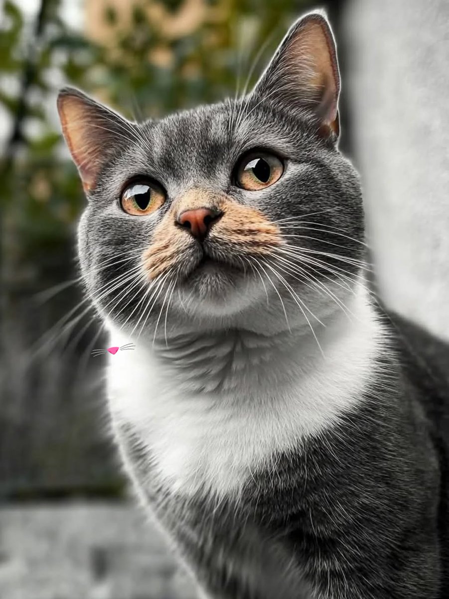 Beautiful afternoon everyone🤍🩶
Pinterest 📷