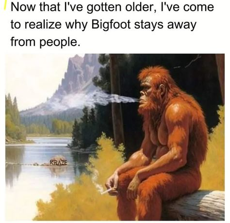 Final Guys tweet media