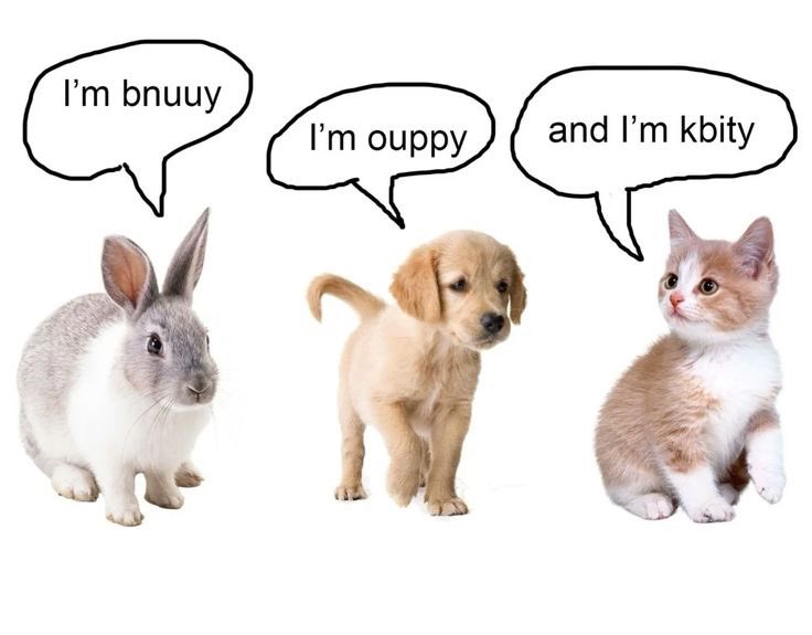 PhenicFox's tweet image. Me and gang