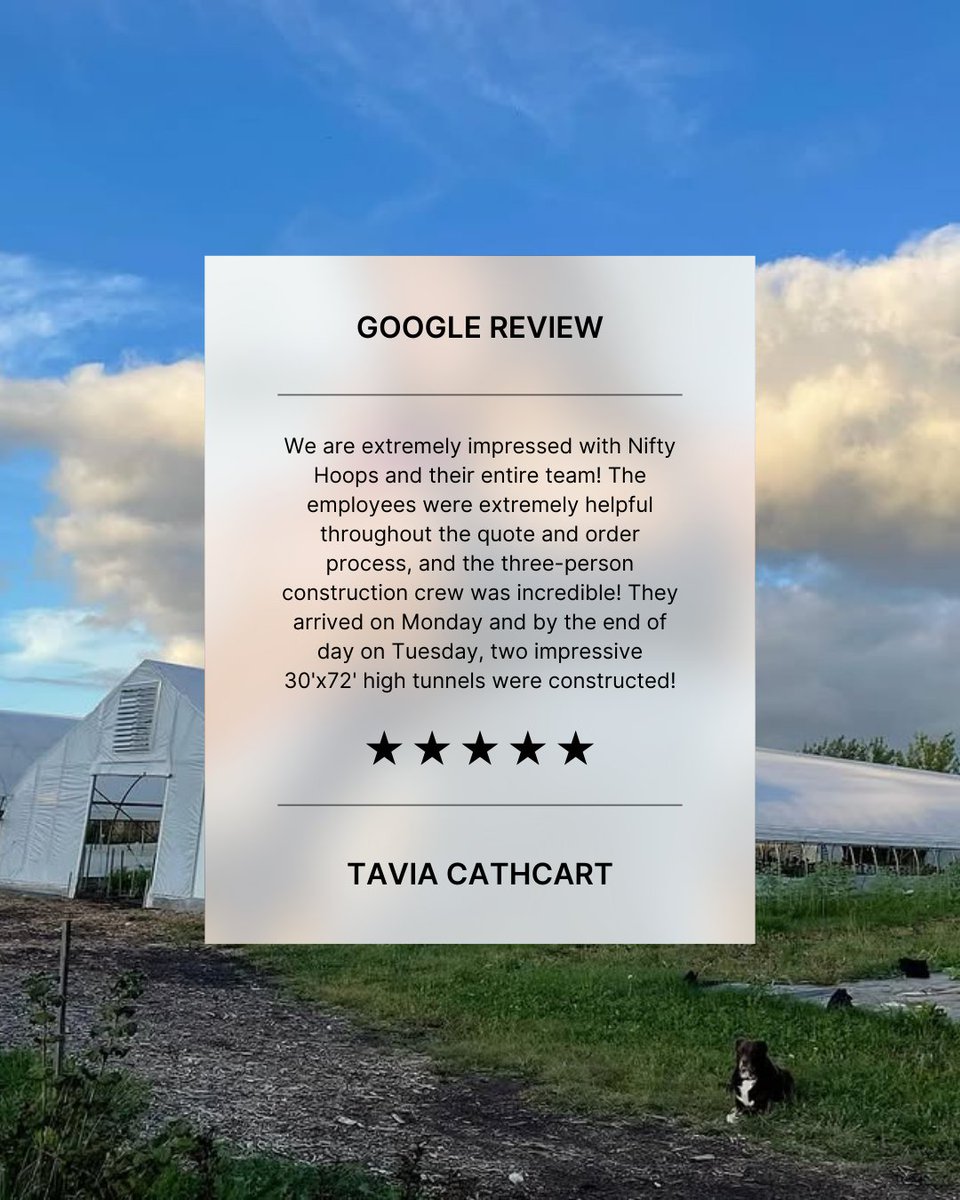 NiftyHoops's tweet image. Your feedback helps other growers make smart choices—and it helps us keep building better tunnels for farmers like you.
If you’ve got a minute, we’d be so grateful for a Google review:
🌟 g.page/r/CRNBcTgbcqyd…   
#ThankYouFarmers #NiftyHoops #GrowersSupportingGrowers
