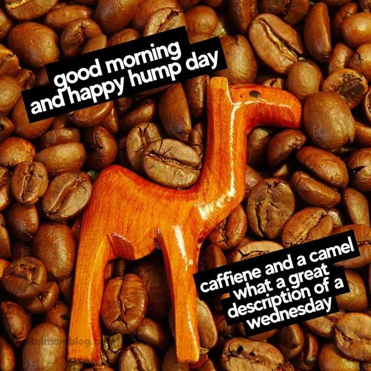 Happy Hump Day, we're halfway there