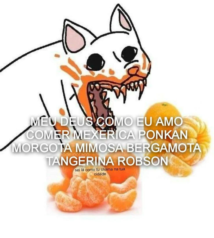 perfil dedicado a gatinhos e peitos (@odeiootaco) on Twitter photo 