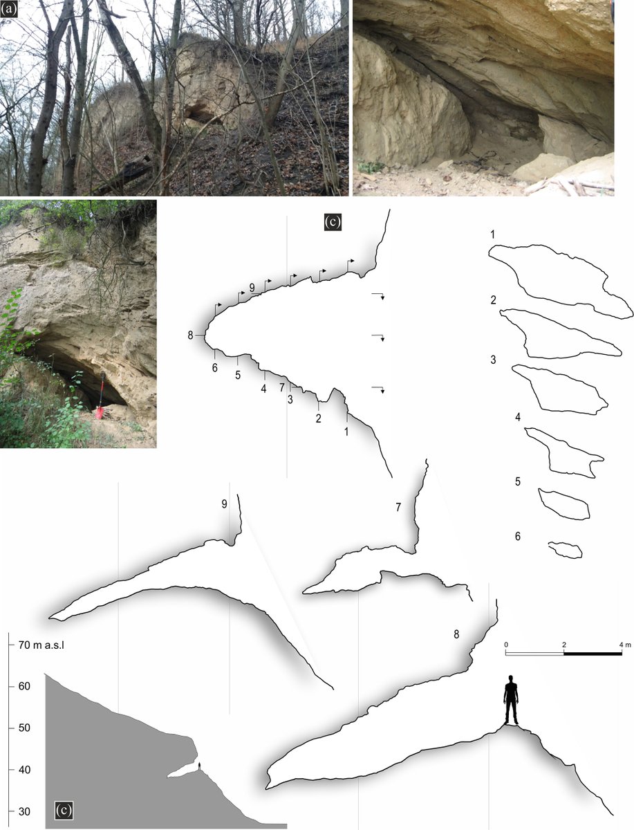 igsopas's tweet image. 🆕 New paper alert! 🚨
 "Quaternary non-karst caves in tills: A pilot study" by Sebastian Tyszkowski &amp;amp; team explores rare cave forms in glacial sediments 🧊🕳️ A unique geomorphological insight!
📖 onlinelibrary.wiley.com/doi/10.1002/es…
#geomorphology #Quaternary #research