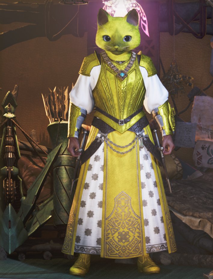 MHwildsイベクエアイルーの被り物がおもろすぎる笑