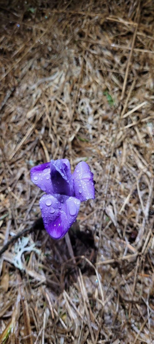 I said it to you for your thoughts for your words

Every caress every trust survives.

I Said It To You
Paul Éluard