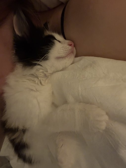 Watch novaruu's leaked NSFW photo on TwXstars