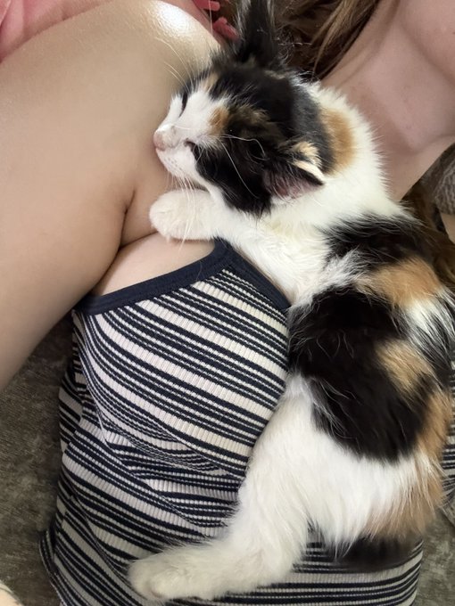 Watch novaruu's leaked NSFW photo on TwXstars