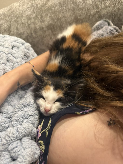 Watch novaruu's leaked NSFW photo on TwXstars