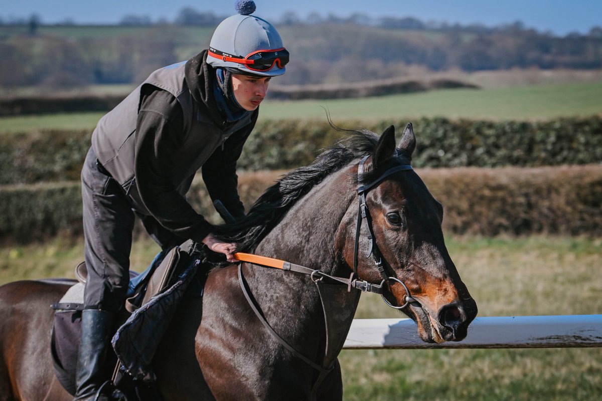Ben and 2yo A’ALI ex MODDY PODDLE making easy work of the hill at home!