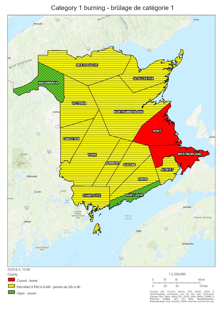 Burning conditions are valid from 2 PM June 04 to 2 PM June 05. The following counties are closed for burning: Kent, Westmorland. The following counties are open for burning: Madawaska, Saint John. In all other counties burning is permitted between 8 PM and 8 AM.