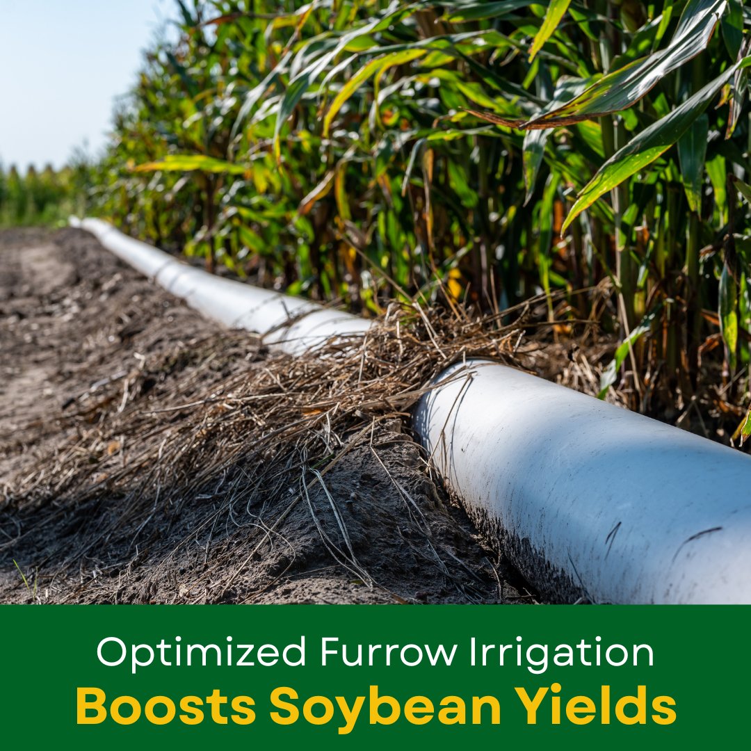 arkansassoybean's tweet image. Studies show that optimized furrow irrigation improves soybean yields with PipePlanner software and poly pipe sets for more consistent results.
For full details, check out our 2024 Annual Report: monkeylink.co/99da95
#ArkansasSoybeans #ArkansasProducer #ArkansasAgriculture