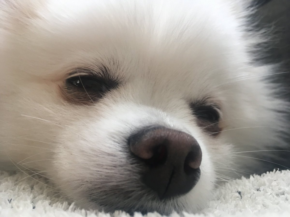 milwoo3's tweet photo. おやすも。  #みるを https://t.co/AkAFd4x5hG