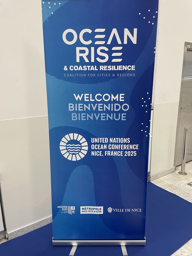 The Ocean tweet media