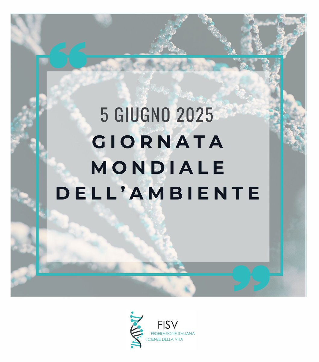 FISV998's tweet image. #WorldEnvironmentDay2025: combattere l&apos;inquinamento da plastica #BeatPlasticPollution 
Repubblica di Corea, paese ospitante, ha aperto negoziati per &quot;sviluppare strumenti internazionali giuridicamente vincolanti sull&apos;inquinamento da plastica&quot;.
worldenvironmentday.global