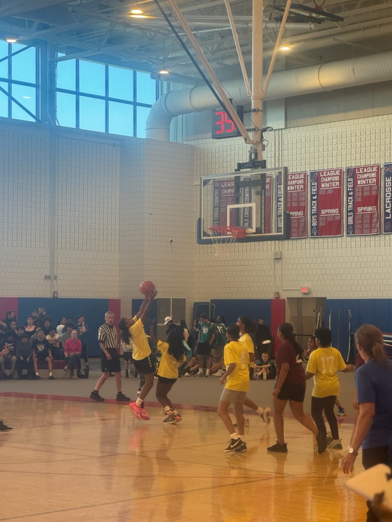 SOMERVILLE HS GIRLS BASKETBALL (@shsgirlshoops1) on Twitter photo It's that time of the year. Our Future Lady Highlanders played a great game yesterday @ the Middle School Intramural Championship Event. The Healey girls played a great game, but the title goes to Argenziano(IN YELLOW)!
@Ed_tv_15
<a href="/Coach_B12/">Ricardo Bonhomme</a>
<a href="/SHSHighlanders1/">SHSHighlanders</a>
<a href="/SHSHoopsVille/">Highlander Hoop</a> It's that time of the year. Our Future Lady Highlanders played a great game yesterday @ the Middle School Intramural Championship Event. The Healey girls played a great game, but the title goes to Argenziano(IN YELLOW)!
@Ed_tv_15
<a href="/Coach_B12/">Ricardo Bonhomme</a>
<a href="/SHSHighlanders1/">SHSHighlanders</a>
<a href="/SHSHoopsVille/">Highlander Hoop</a>