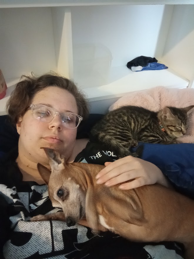 Hey I know I don't use this site anymore. But I am making an exception to force you all to look at the kitten I brought home yesterday.
Meet Howl