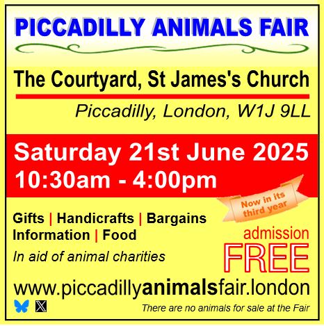 Ealing | Piccadilly Animals Fair (@ealnganimalfair) on Twitter photo Getting closer. Can't wait. Stalls inc Dogs on the Streets <a href="/dotslondon/">Dogs On The Streets</a> <a href="/AnimalsAsia/">Animals Asia</a> <a href="/AnimallawFDN/">The Animal Law Foundation</a> Save the Asian Elephants <a href="/stae_elephants/">Save The Asian Elephants</a> <a href="/Nowzad/">NOWZAD</a> <a href="/SPANAcharity/">SPANA</a> Brooke Hosp for Animals <a href="/TheBrooke/">Brooke 🐴🧡</a> @thecampbeagle <a href="/AFR_UK/">AnimalFreeResearchUK</a> <a href="/squirrels_urban/">Urban Squirrels, wildlife rescue, animal ethics.</a> Compassion in World Farming <a href="/ciwf/">Compassion in World Farming UK</a> & more Getting closer. Can't wait. Stalls inc Dogs on the Streets <a href="/dotslondon/">Dogs On The Streets</a> <a href="/AnimalsAsia/">Animals Asia</a> <a href="/AnimallawFDN/">The Animal Law Foundation</a> Save the Asian Elephants <a href="/stae_elephants/">Save The Asian Elephants</a> <a href="/Nowzad/">NOWZAD</a> <a href="/SPANAcharity/">SPANA</a> Brooke Hosp for Animals <a href="/TheBrooke/">Brooke 🐴🧡</a> @thecampbeagle <a href="/AFR_UK/">AnimalFreeResearchUK</a> <a href="/squirrels_urban/">Urban Squirrels, wildlife rescue, animal ethics.</a> Compassion in World Farming <a href="/ciwf/">Compassion in World Farming UK</a> & more