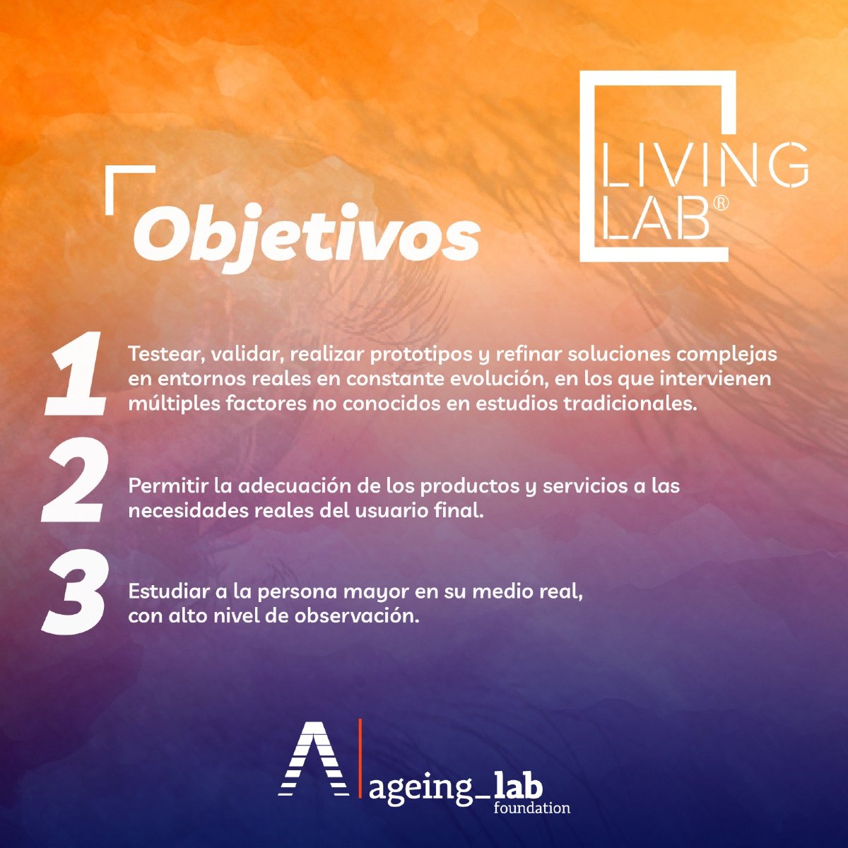 🧠​✅​👩🏻‍🦳​🧑🏻‍🦳​🥼 ¿Conoces los objetivos de #AgeingLab?

🌐Puedes conocer más información en: ​ageinglab.org

#Envejecimiento #TransferenciaDeConocimiento #Desarrollo #Innovación