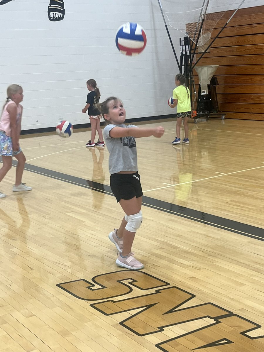 Botkins Volleyball tweet media