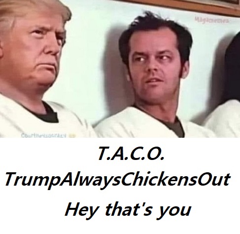 Donald Trump the Chicken TACO moron is known world wise as a bufoon to all the world