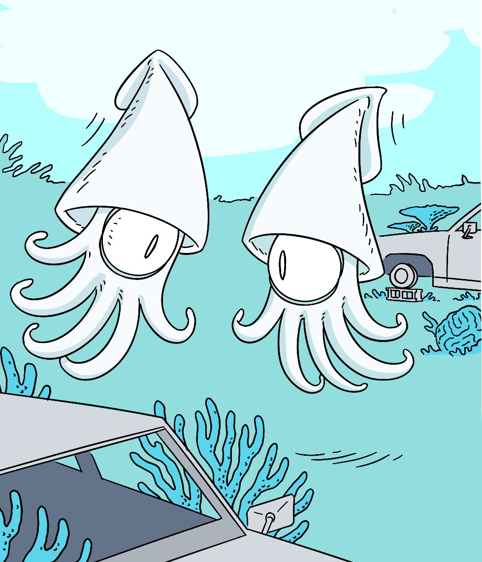 realspacekraken's tweet image. Henlo fren... 🪸🦑🪸