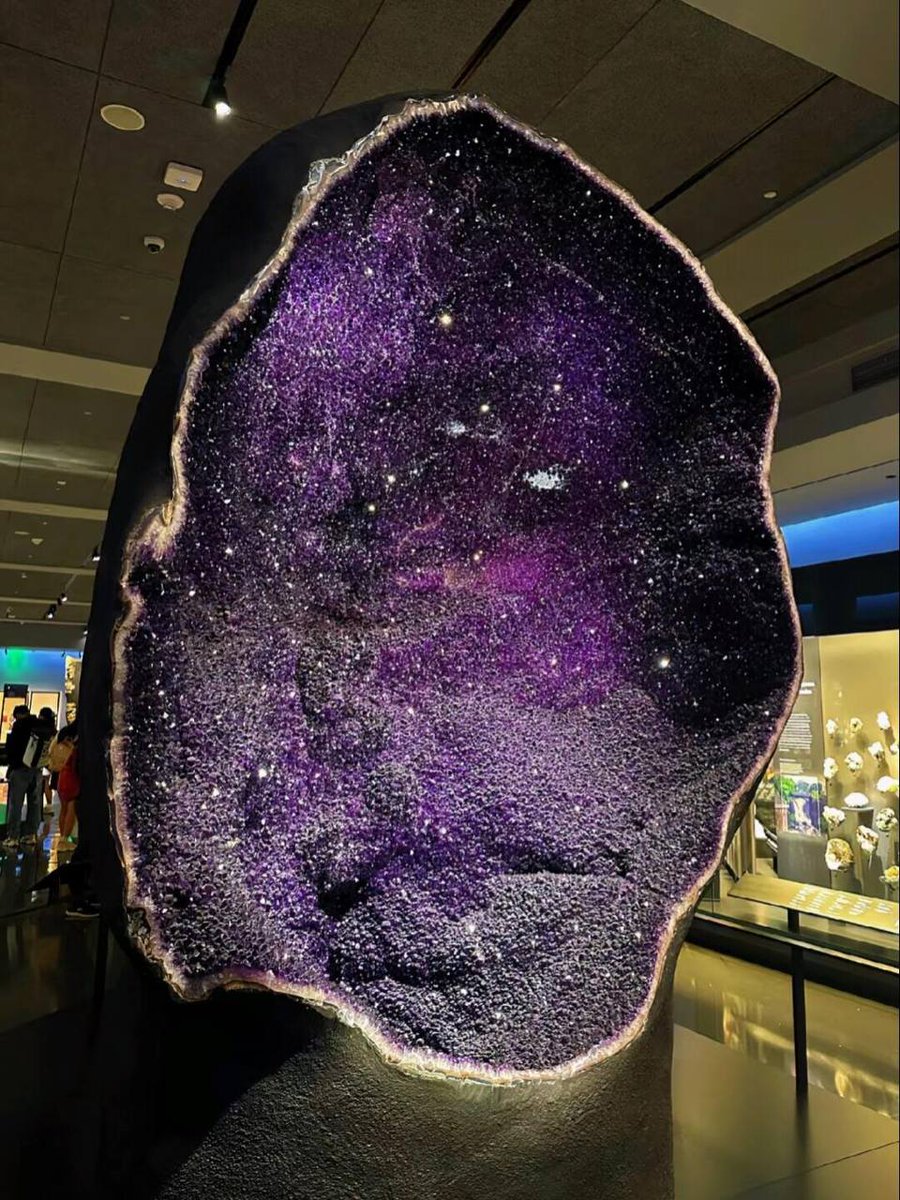 Lin668001's tweet image. It&apos;s better not to expect too much from things like distance