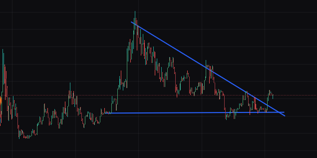 CrewZoé tweet media
