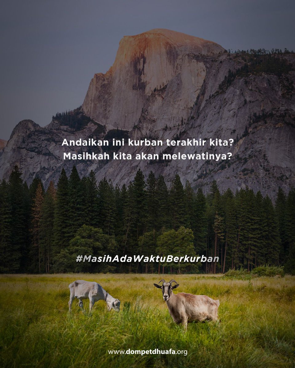 dompetdhuafaorg's tweet photo. Andaikan ini kurban terakhir kita…
Masihkah kita akan melewatinya begitu saja?

Tahun ini, jangan tunda lagi yaa Sahabat.

Mendadak promo kurban!
Kurban Doka Standar di Dompet Dhuafa Diskon Rp199.000

 #MasihAdaWaktuBerkurban, sahabat bisa berkurban dengan tenang karena kurban di Dompet Dhuafa,

✅ Pasti Sesuai Syariat
✅ Pasti Jantan
✅ Pasti Distribusi ke Pelosok Negeri
✅ Pasti Laporan Cepat
 
Yuk, segera tunaikan kurbanmu melalui,

https://t.co/qdrMStNonN

#THK #THK1446 #TebarHewanKurban #KurbanSengaruhItu #DompetDhuafa