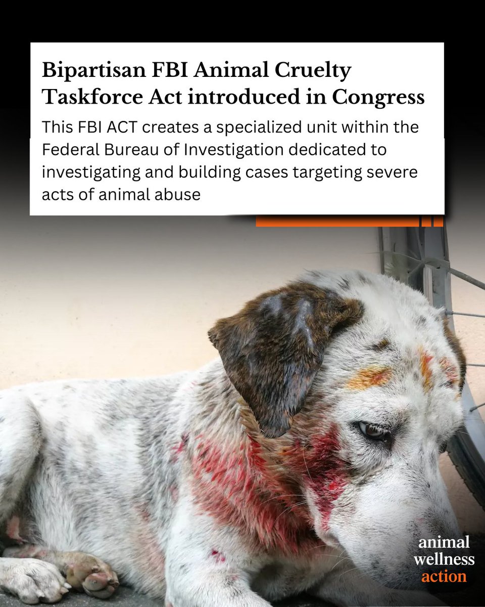 🚨 New legislation alert! The FBI Animal Cruelty Taskforce Act, introduced by Reps. Gottheimer and Malliotakis, seeks to enhance federal efforts against malicious animal abuse.

This act complements the Animal Cruelty Enforcement Act, forming a comprehensive approach to
